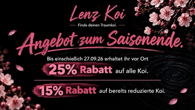 Lenz Koi Angebot Saisonende Japan Koi