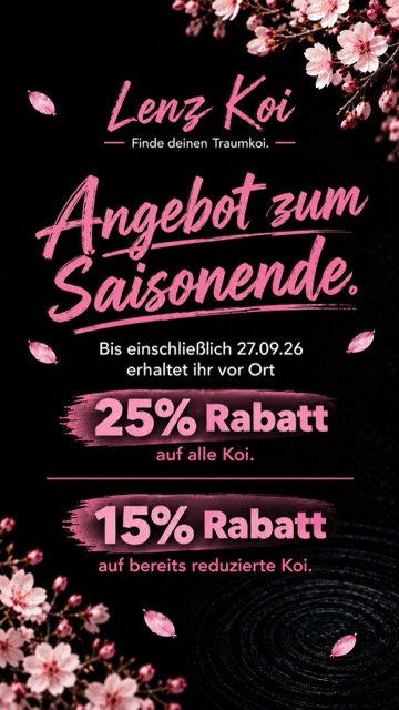Lenz Koi Angebot Saisonende Japan Koi